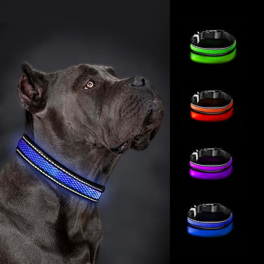 Dog Collar